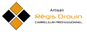REGIS DROUIN Logo